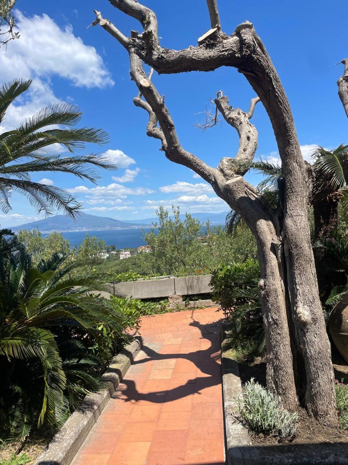 Un Paradiso A Sorrento Con Piscina Massa Lubrense Dış mekan fotoğraf
